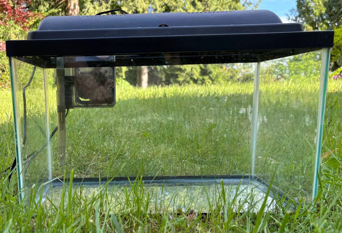 10 Gallon Fish Tank