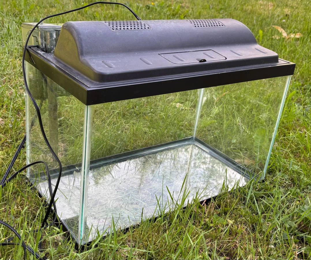 10 Gallon Fish Tank - photo 2