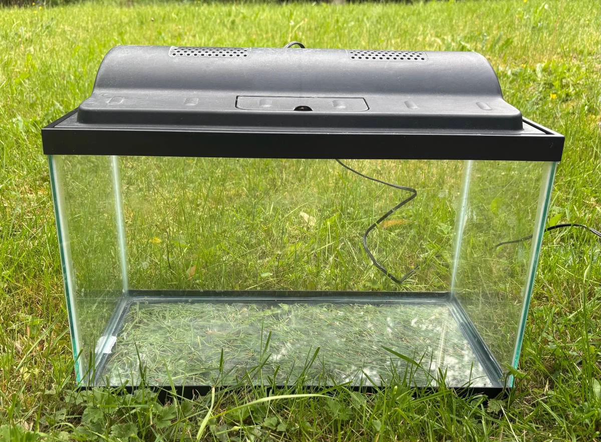 10 Gallon Fish Tank - photo 3