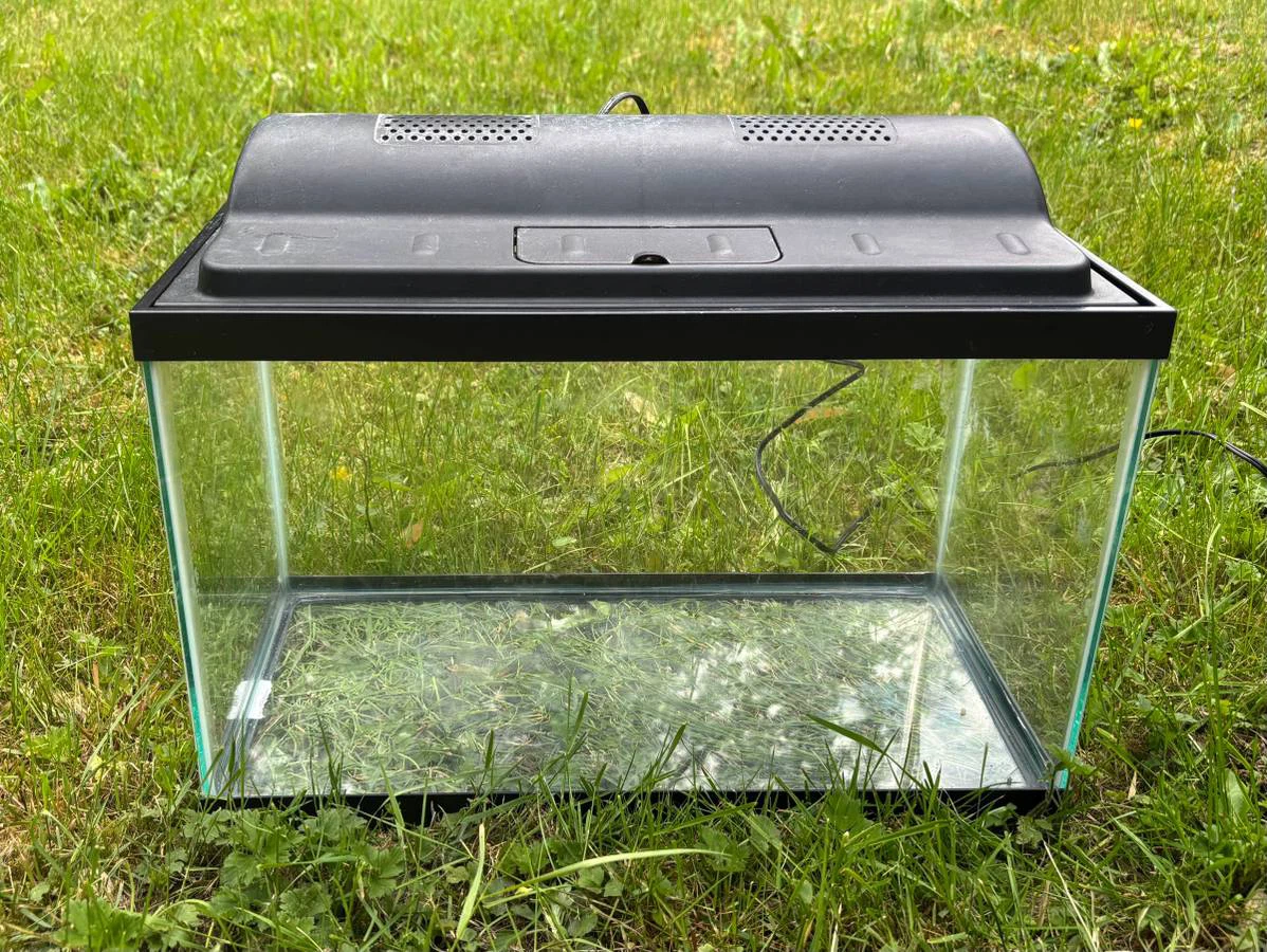 10 Gallon Fish Tank - photo 4