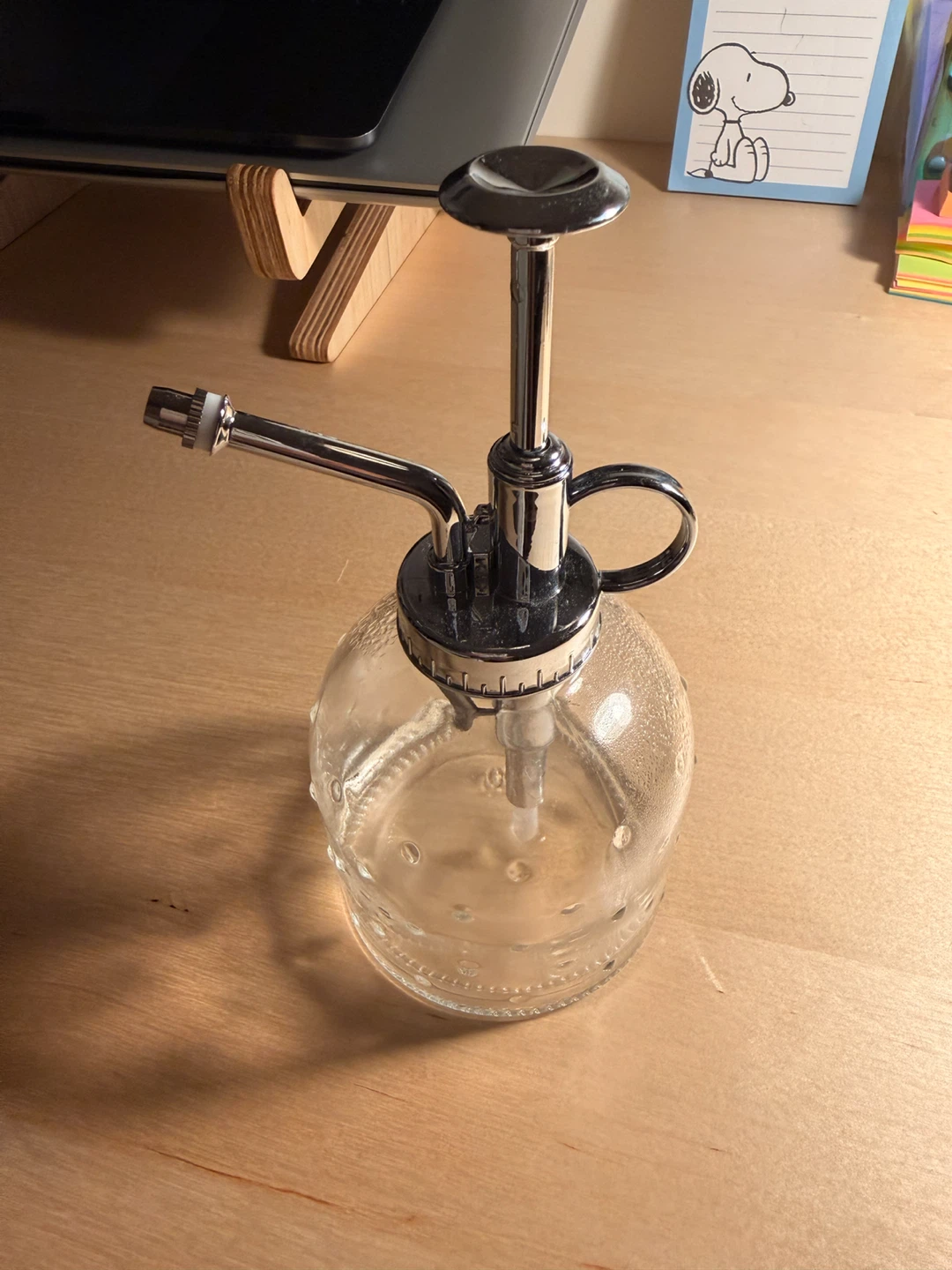 Glass Plant Mister Sprayer