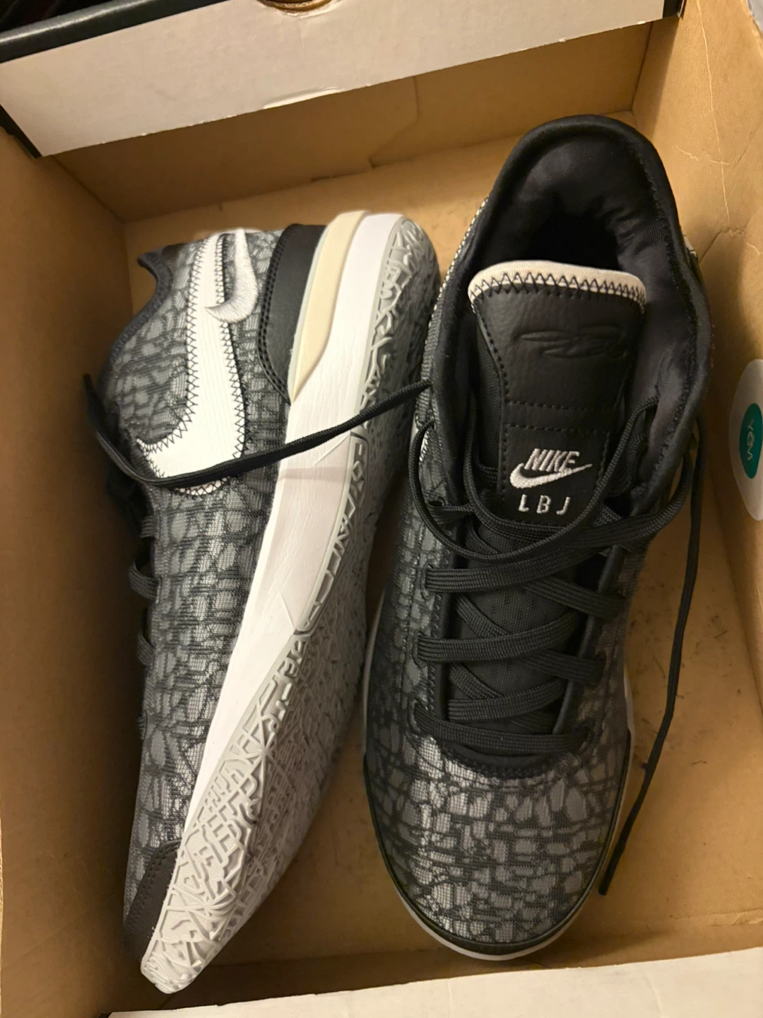 Nike LeBron 20 "Time Machine" Basketball Shoes