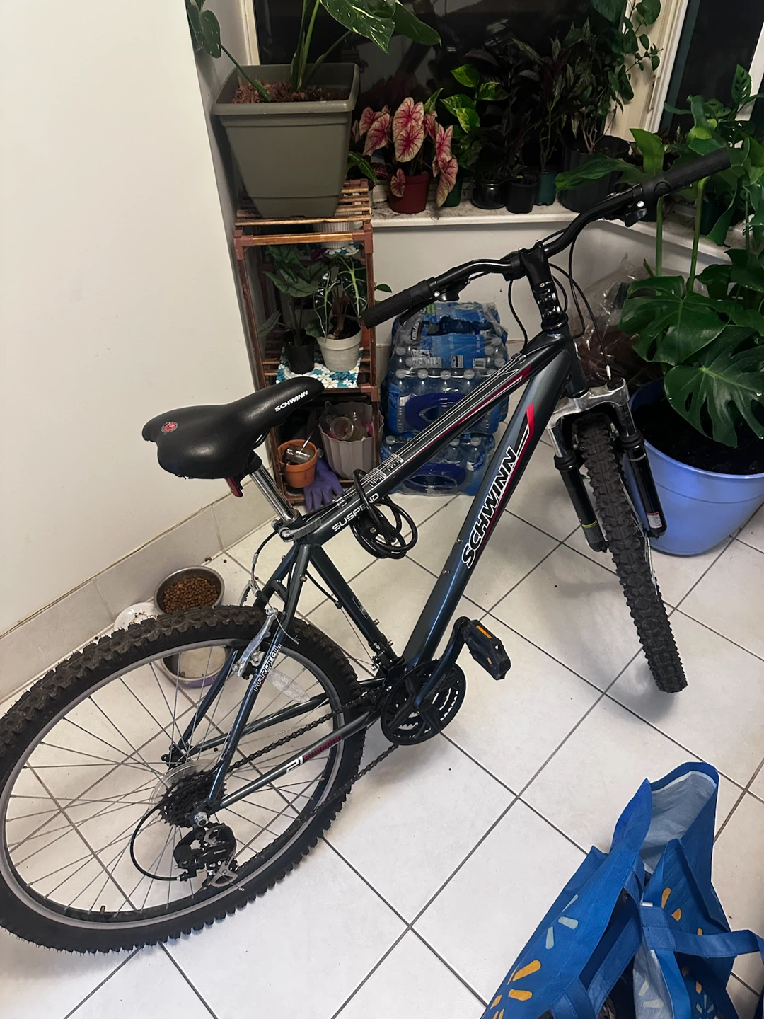 Schwinn Bicycle
