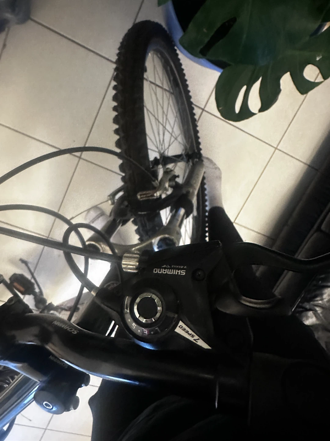 Schwinn Bicycle - photo 2
