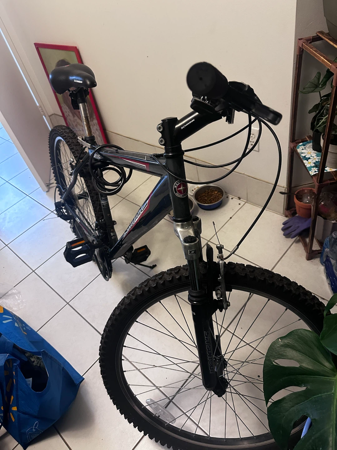 Schwinn Bicycle - photo 3