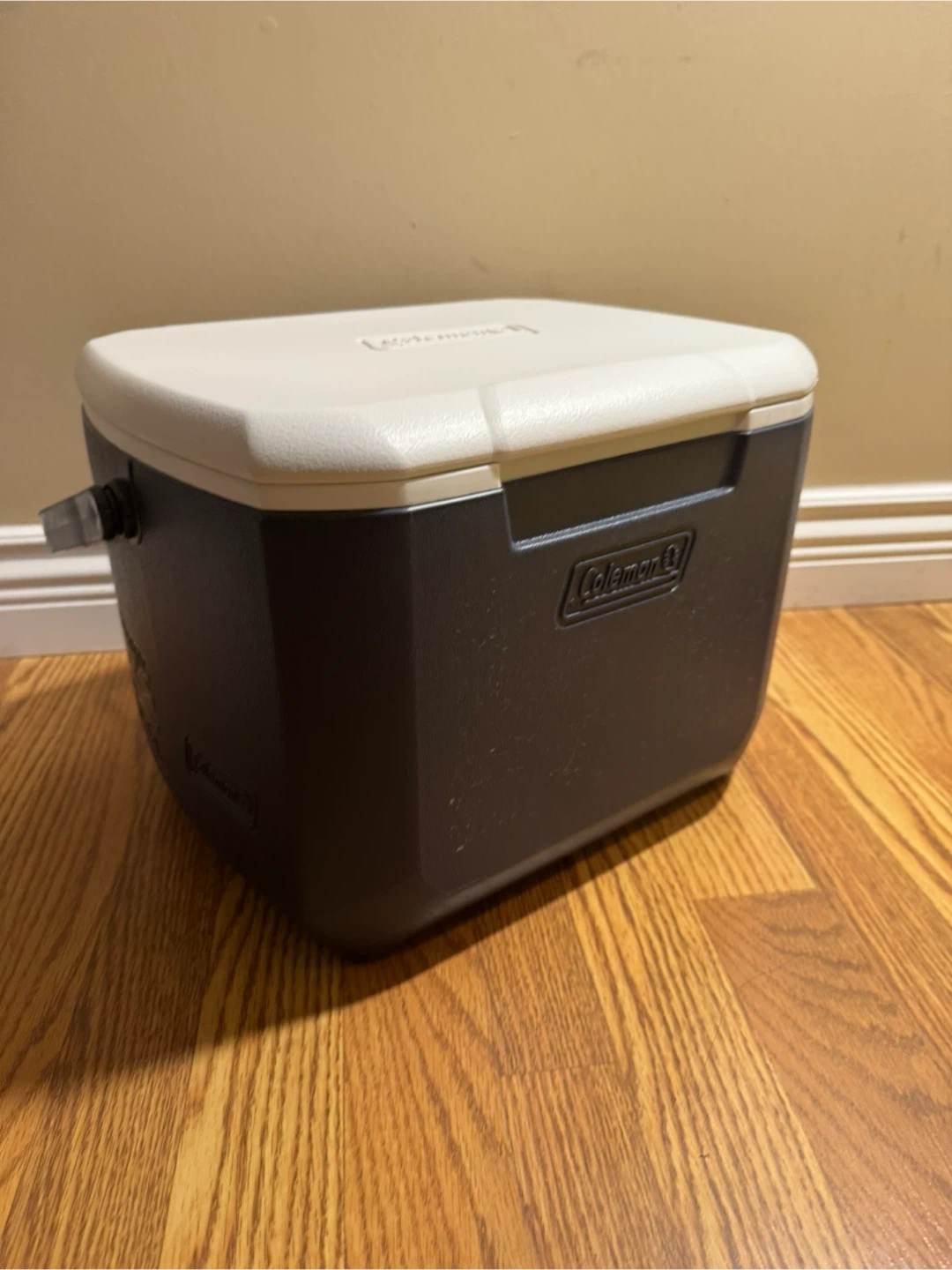 Coleman Cooler box