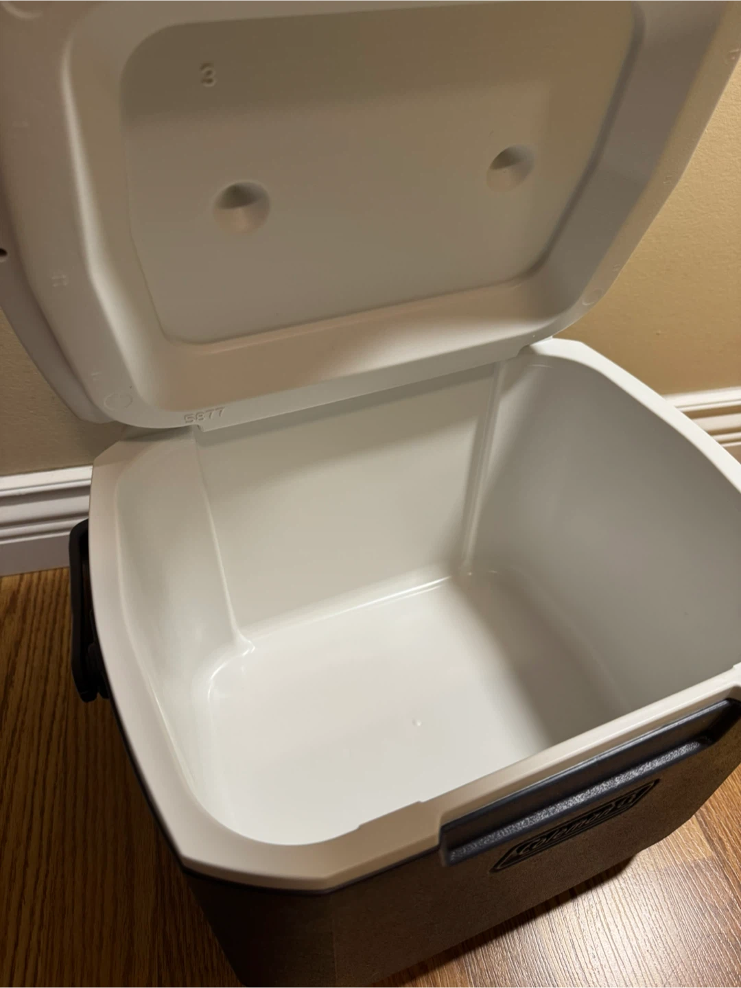 Coleman Cooler box - photo 2