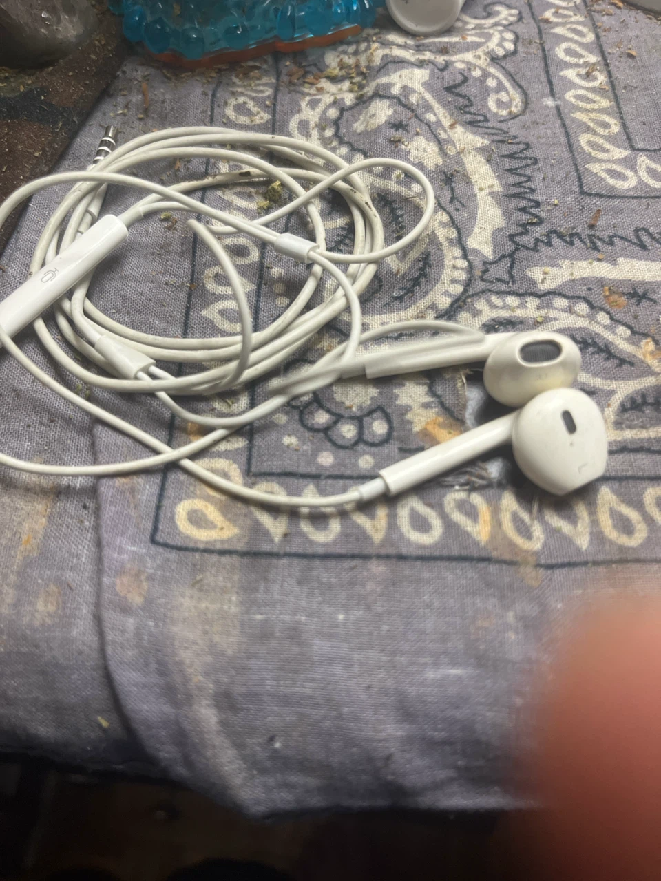 Apple EarPods