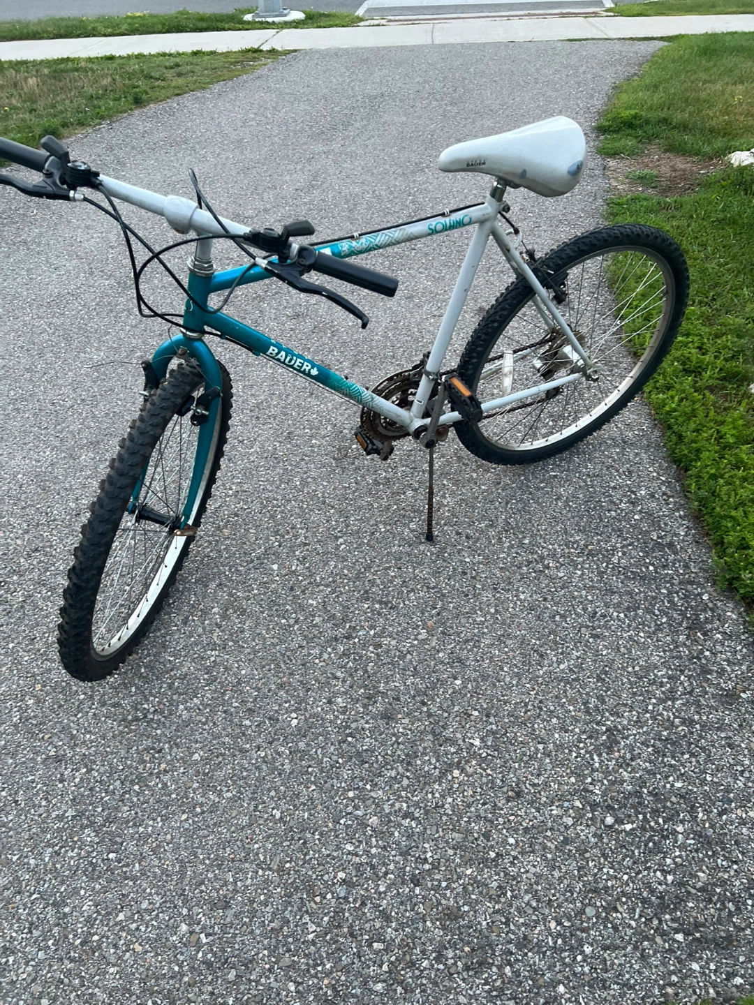 26” Steve Bauer solano  Mountain Bike - photo 4