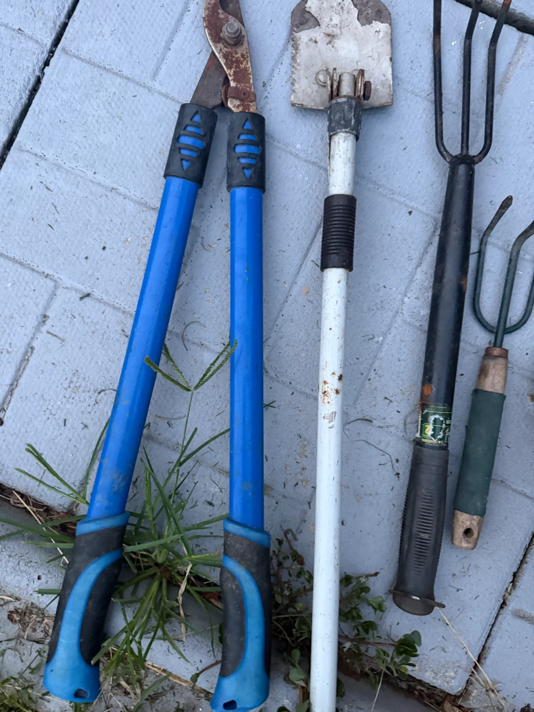 Gardening Tool - all for 25$ - photo 3