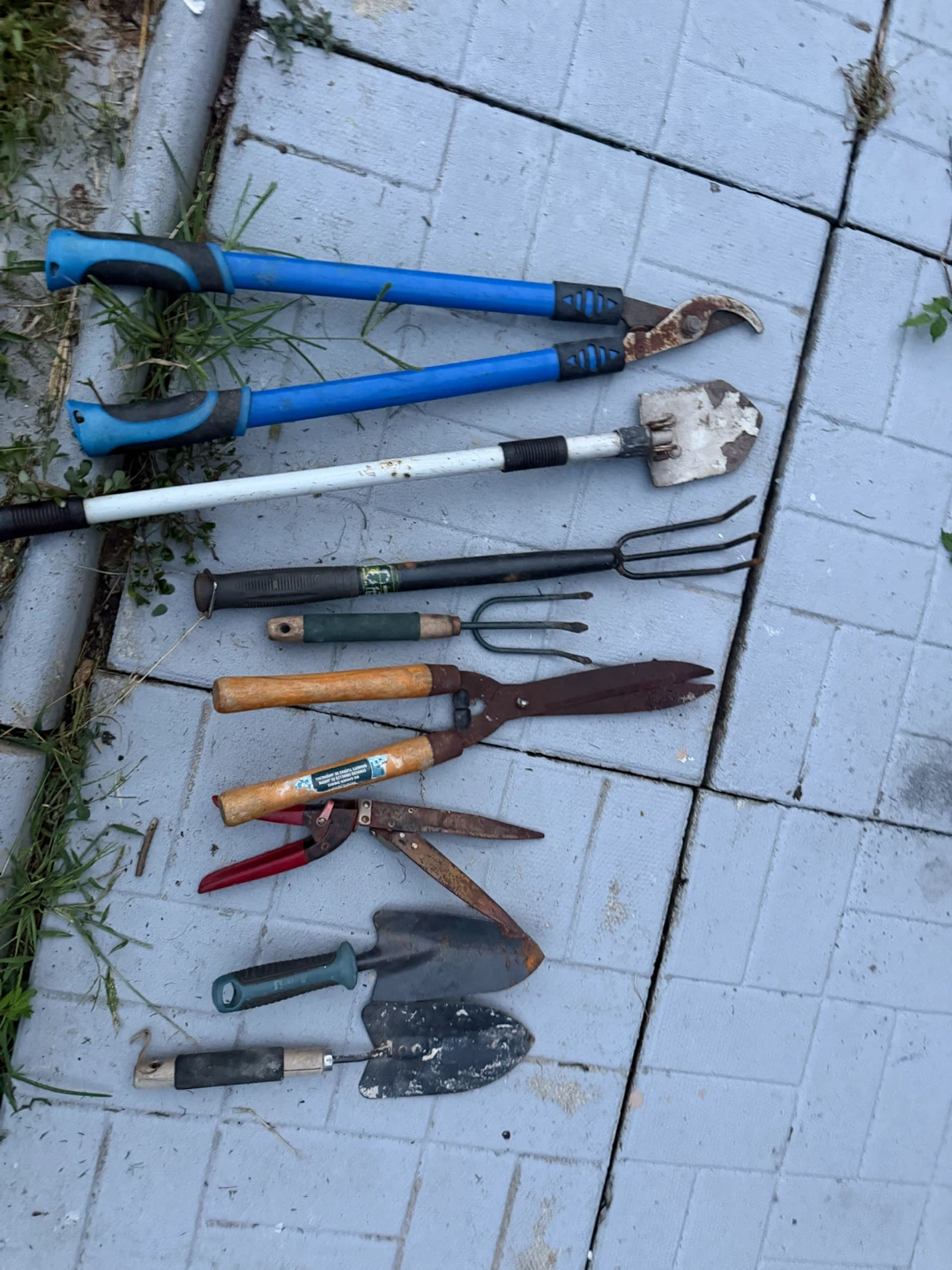Gardening Tool - all for 25$ - photo 4