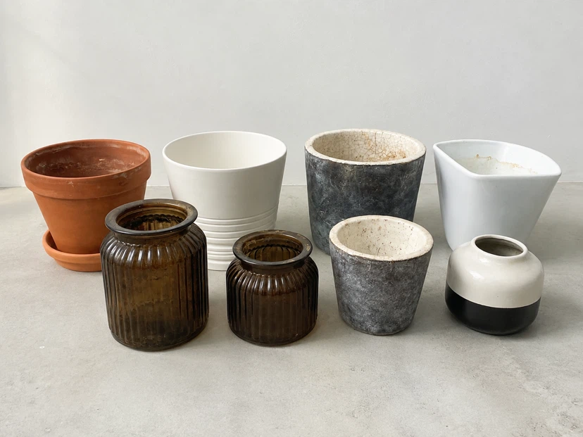 Assorted Plant Pots and Vases