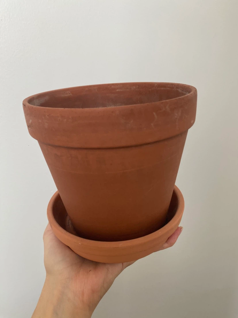 Assorted Plant Pots and Vases - photo 2