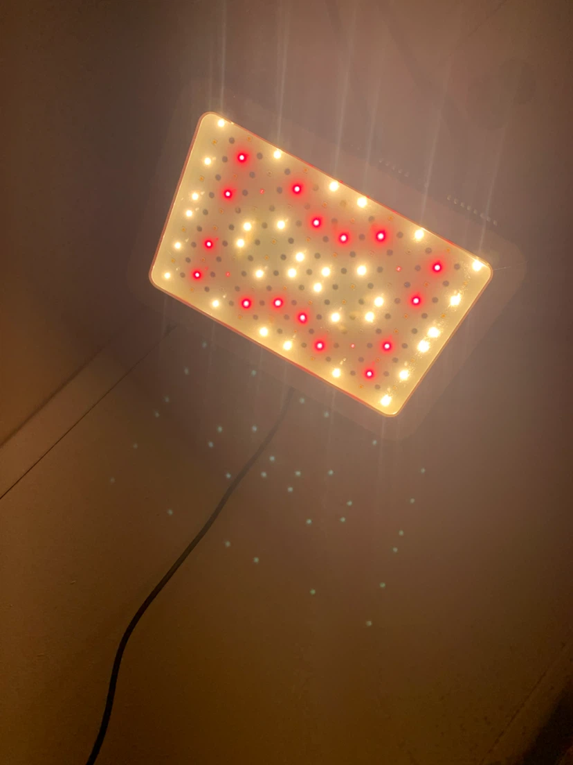 1000W LED Grow Light - photo 2