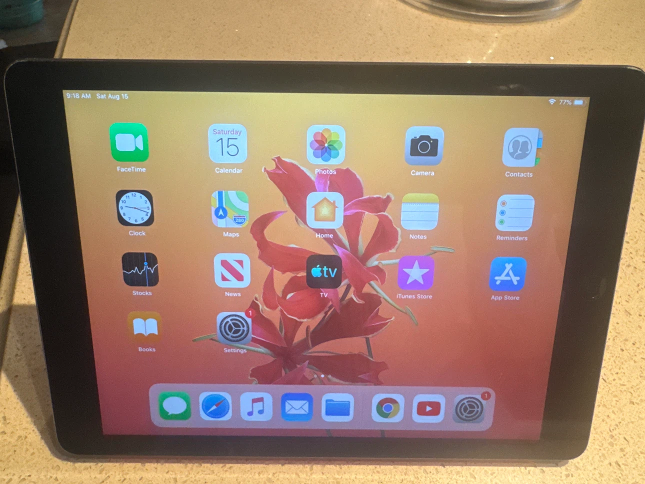 Apple iPad Air - photo 2