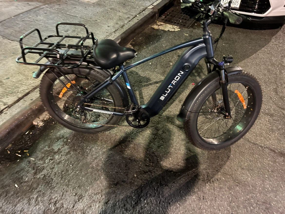 BLUTRON Fat Tire Electric Bike