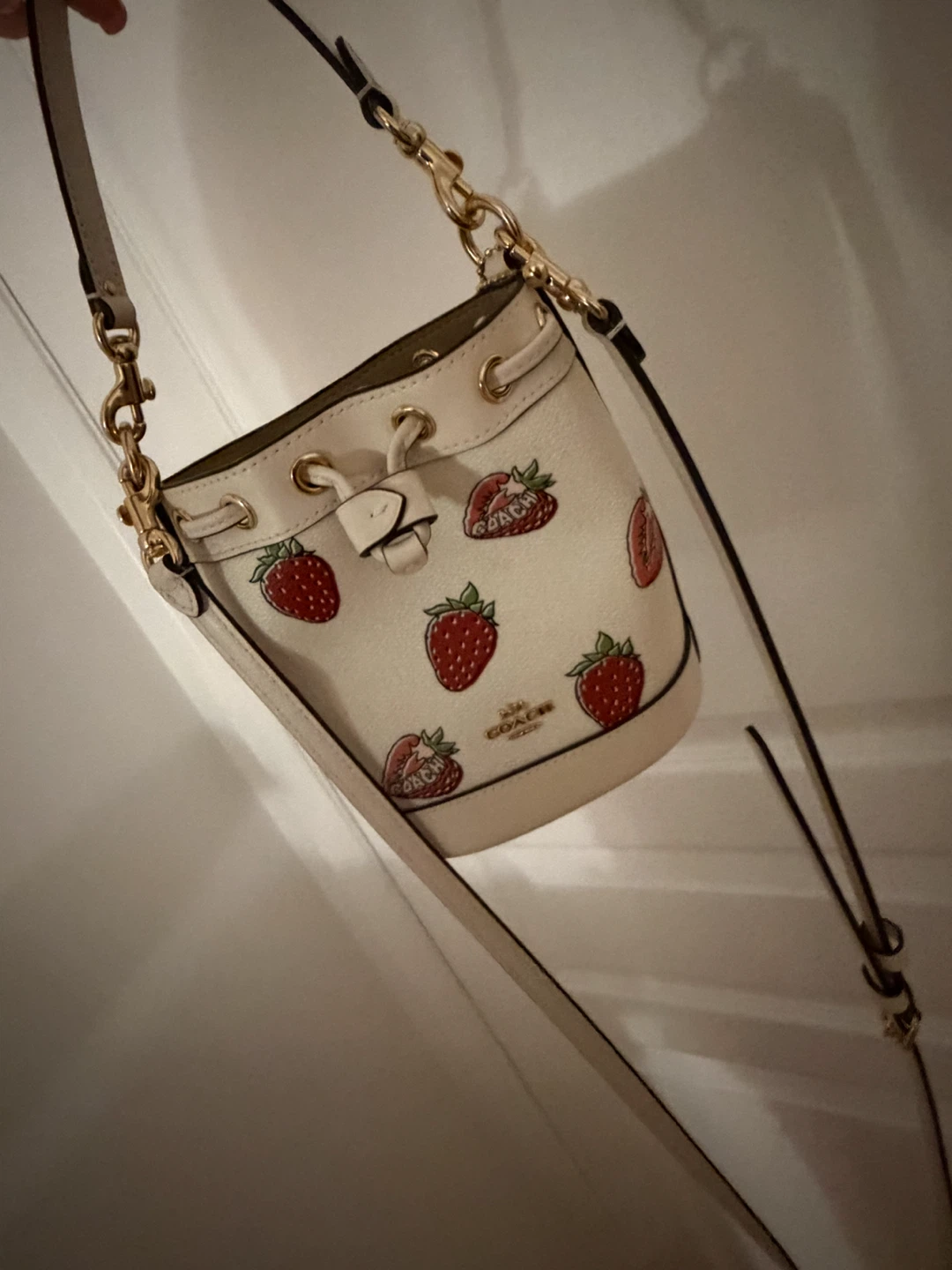 Coach Bucket Bag - Strawberry Print