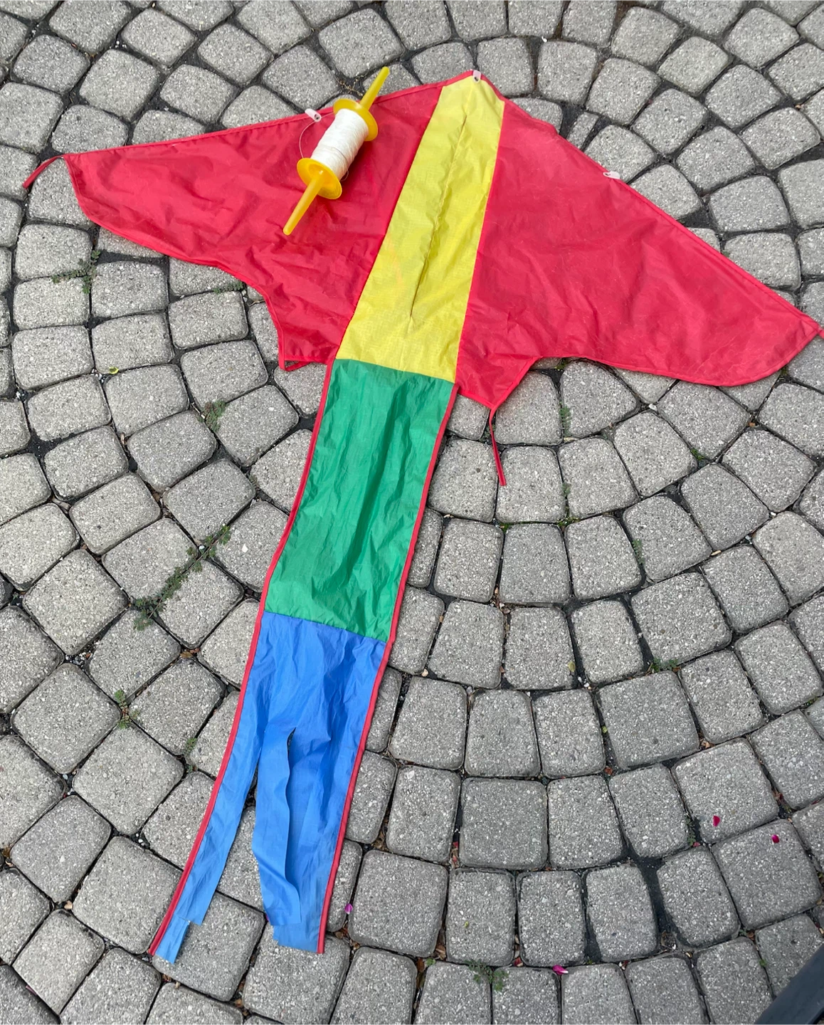 Colourful Delta Kite with String