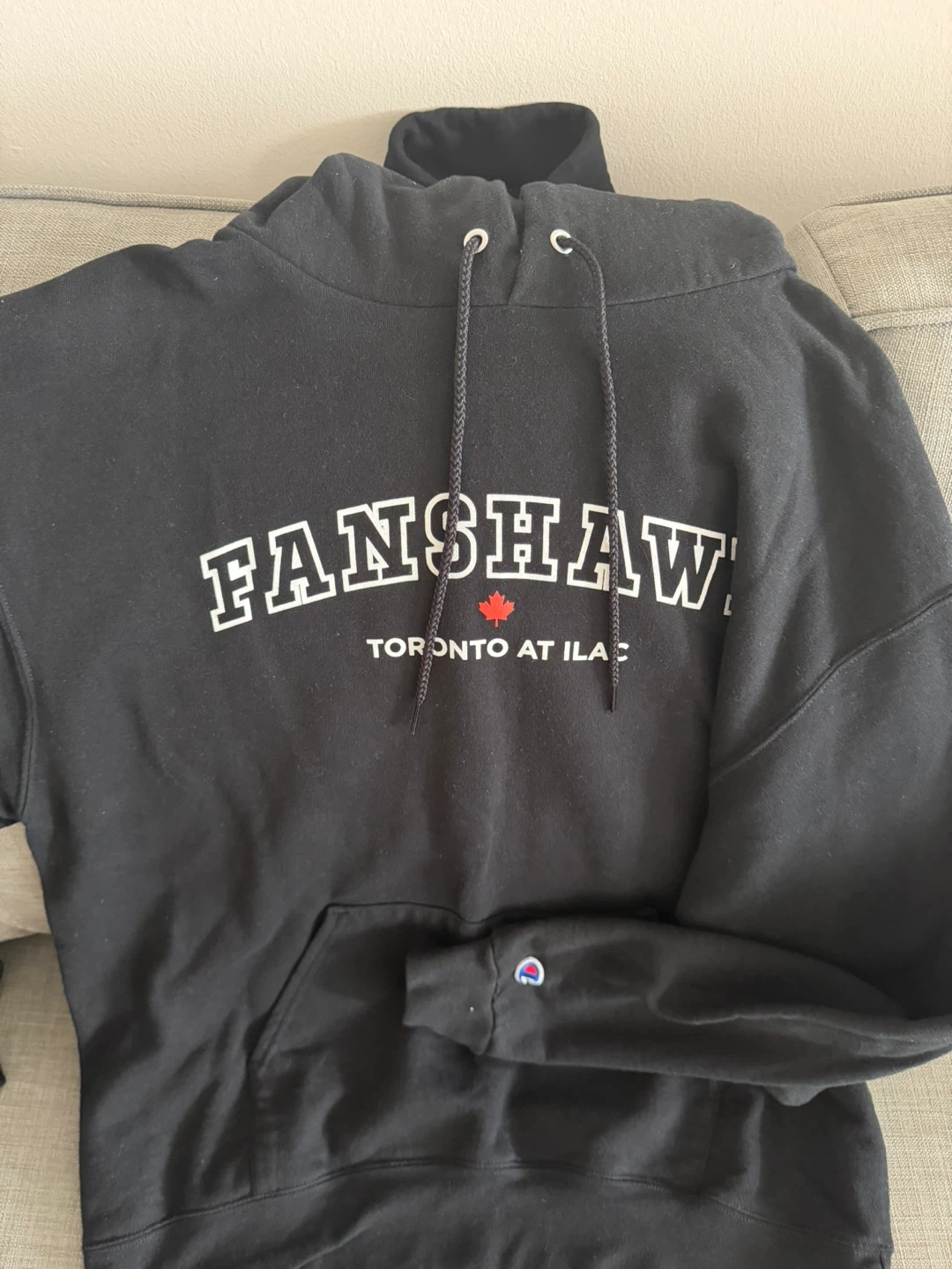 Fanshawe Toronto at ILAC Hoodie