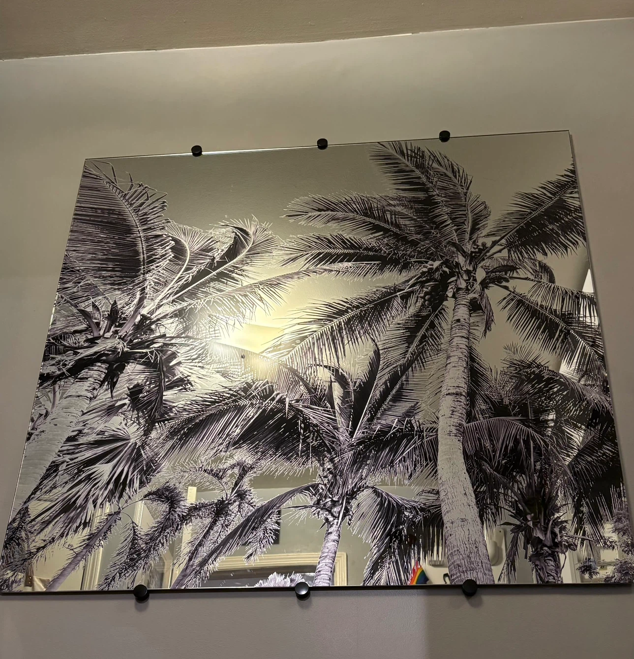 Decorative Wall Mirror with Palm Tree Print