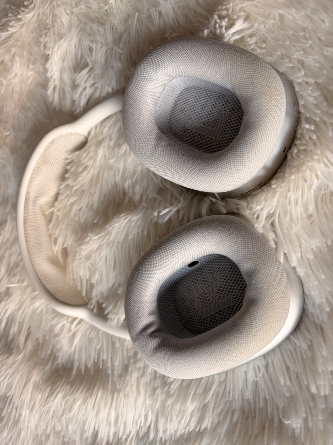 Apple AirPods Max - photo 4