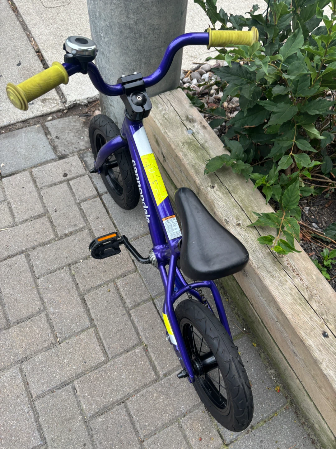 Cannondale Kids Bike