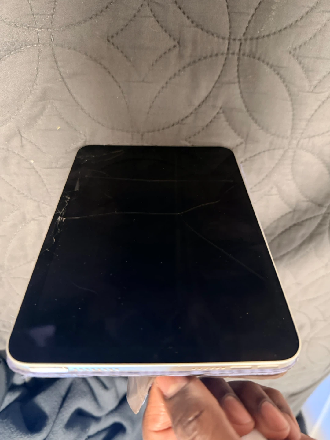 Apple iPad