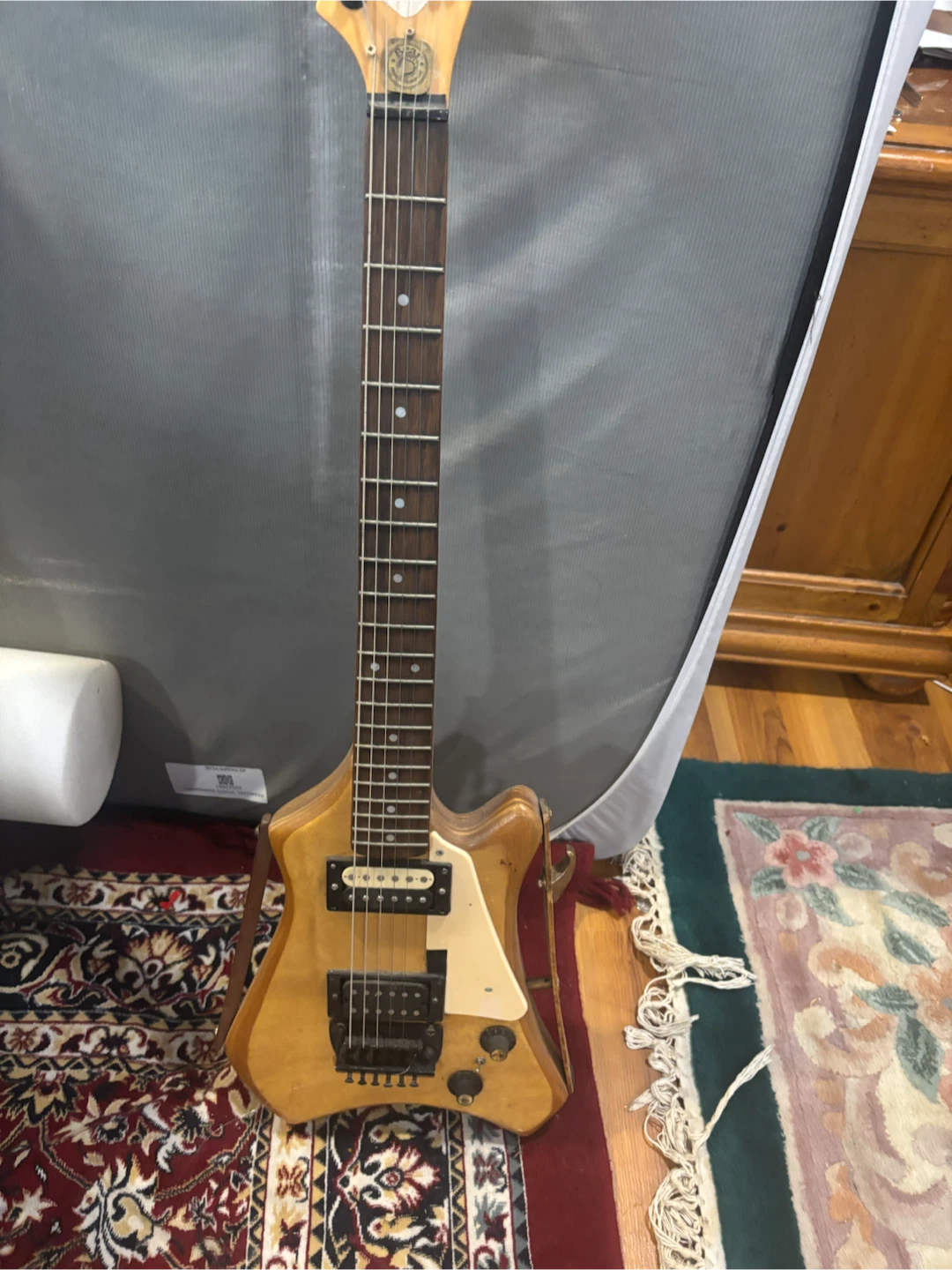 Custom made Electric Guitar