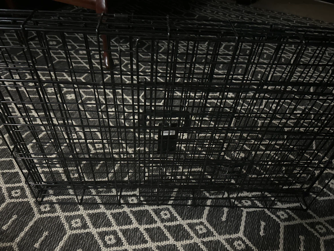 40 inch dog crate