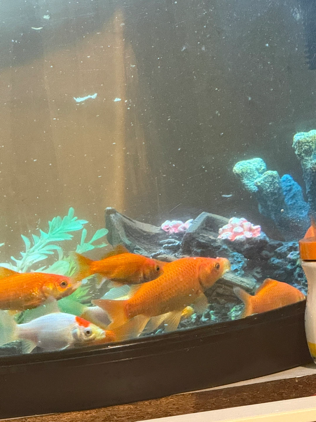 Goldfish Aquarium with Decorations - photo 2