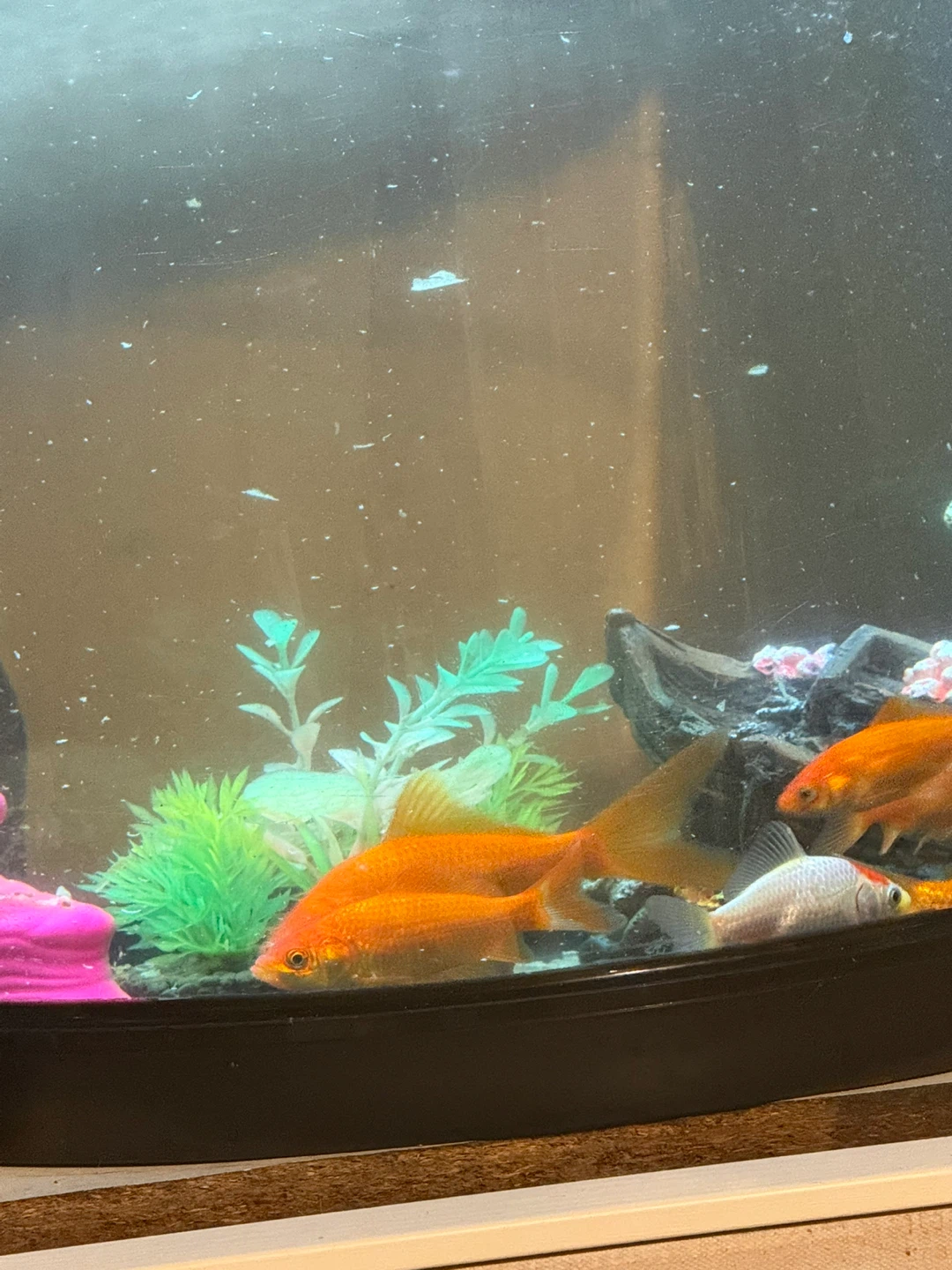 Goldfish Aquarium with Decorations - photo 3
