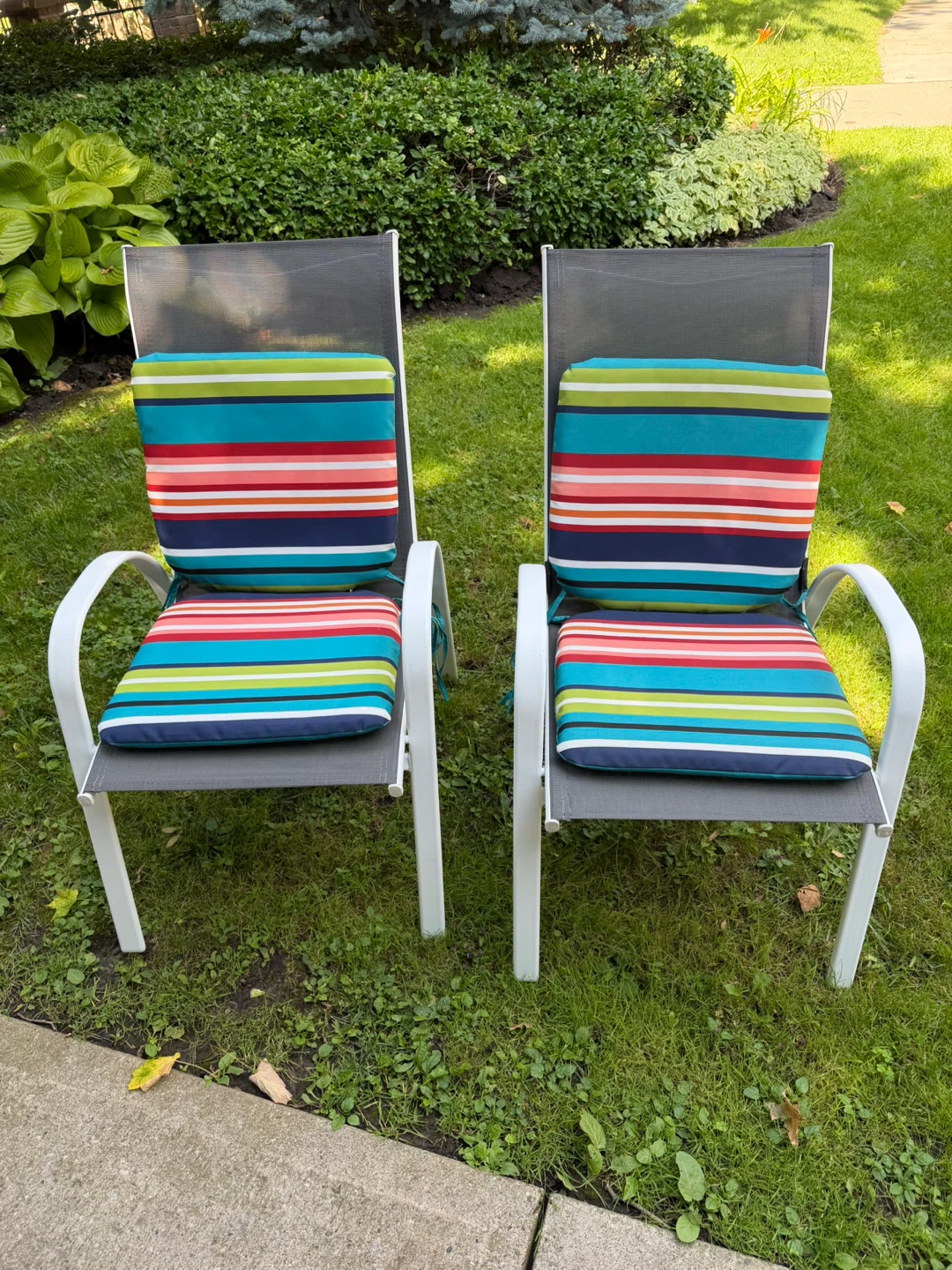 Set of 2 Patio Chairs with Cushions