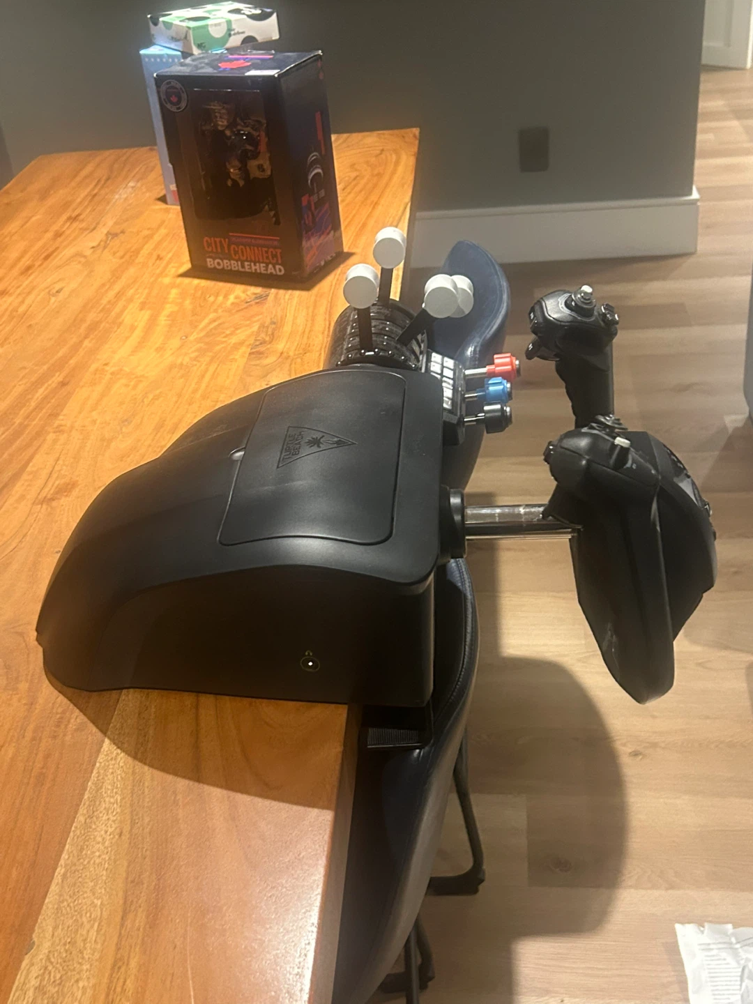 Turtle Beach Flight Simulator - photo 4