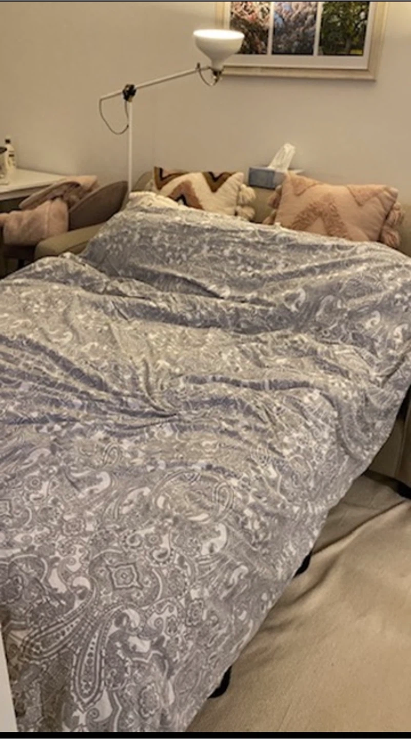 Beige Sofa - foldout queen bed - photo 2