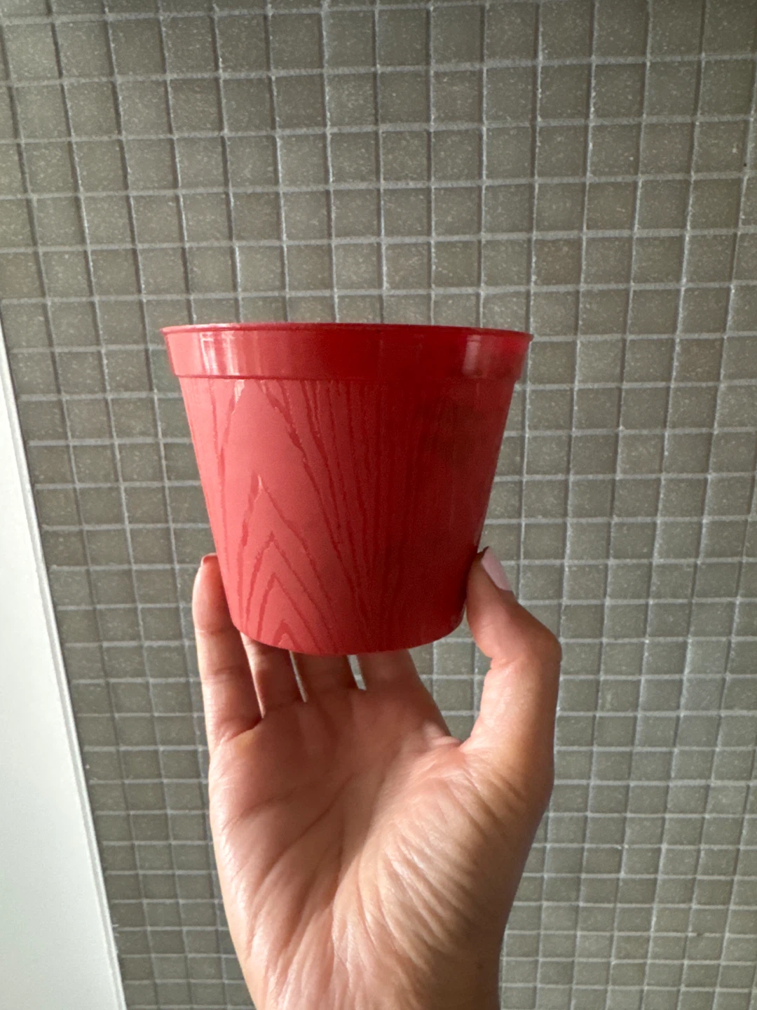 Free 4 Inch Plastic Planter Pot