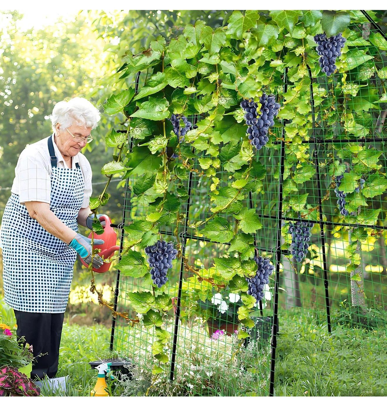 87 Inch Tall Garden Arch Trellis for Plant Climbing 87T - photo 2