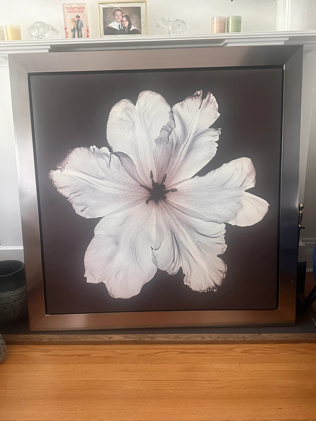 Large Framed Print
