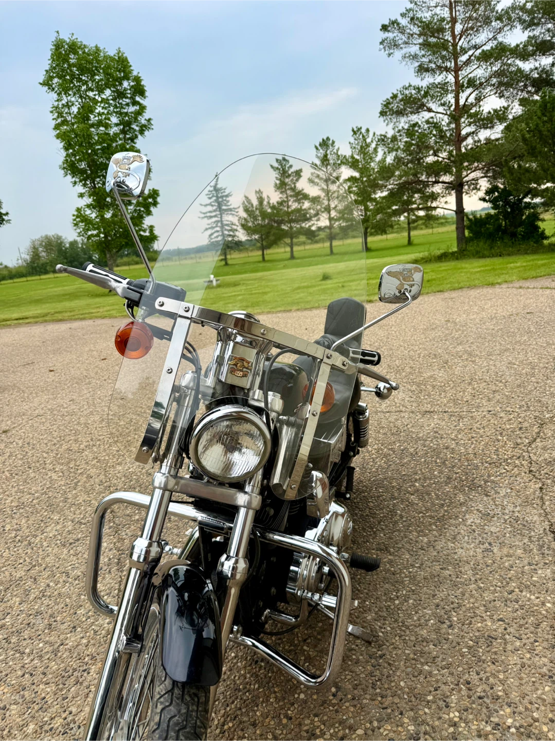 1996 Harley Davidson Sportster - photo 3