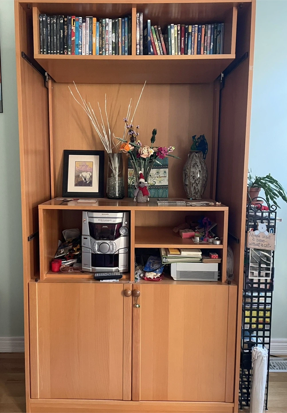 Spacious Media Storage Unit