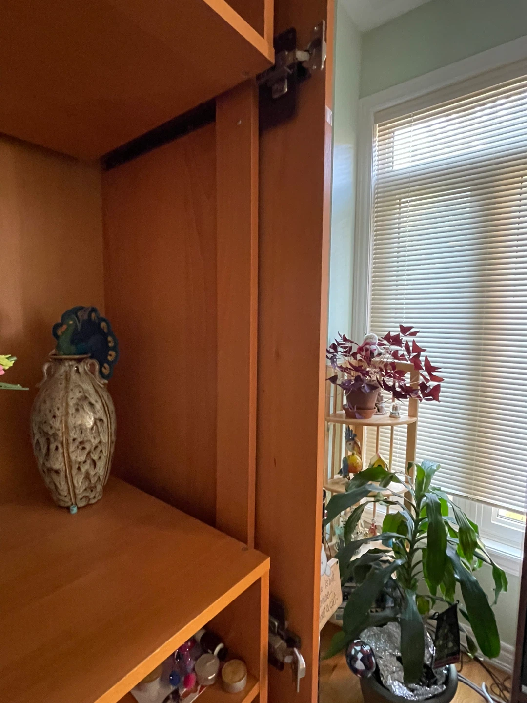 Spacious Media Storage Unit - photo 3