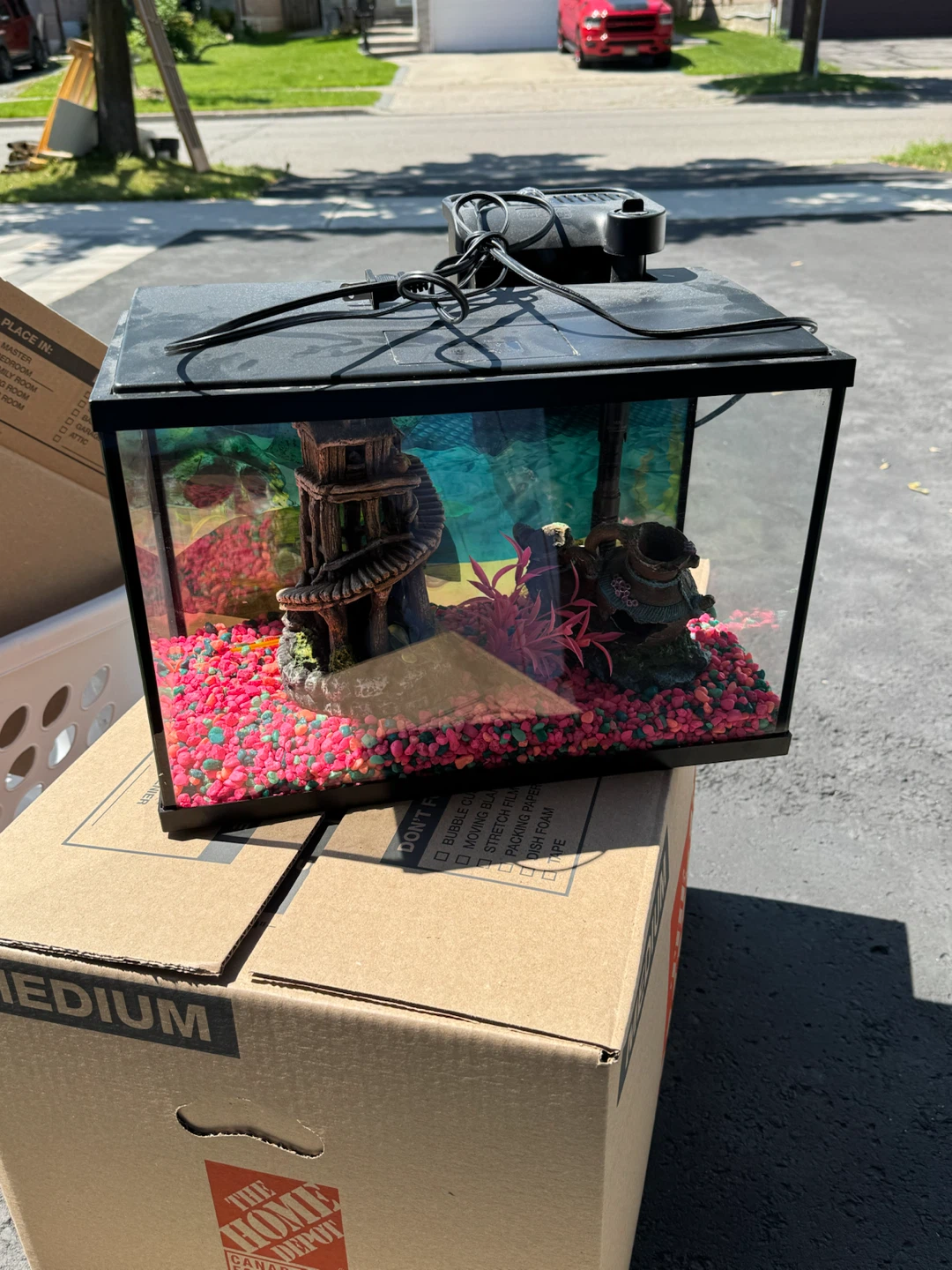 Small Fish Tank with Filter and Decorations