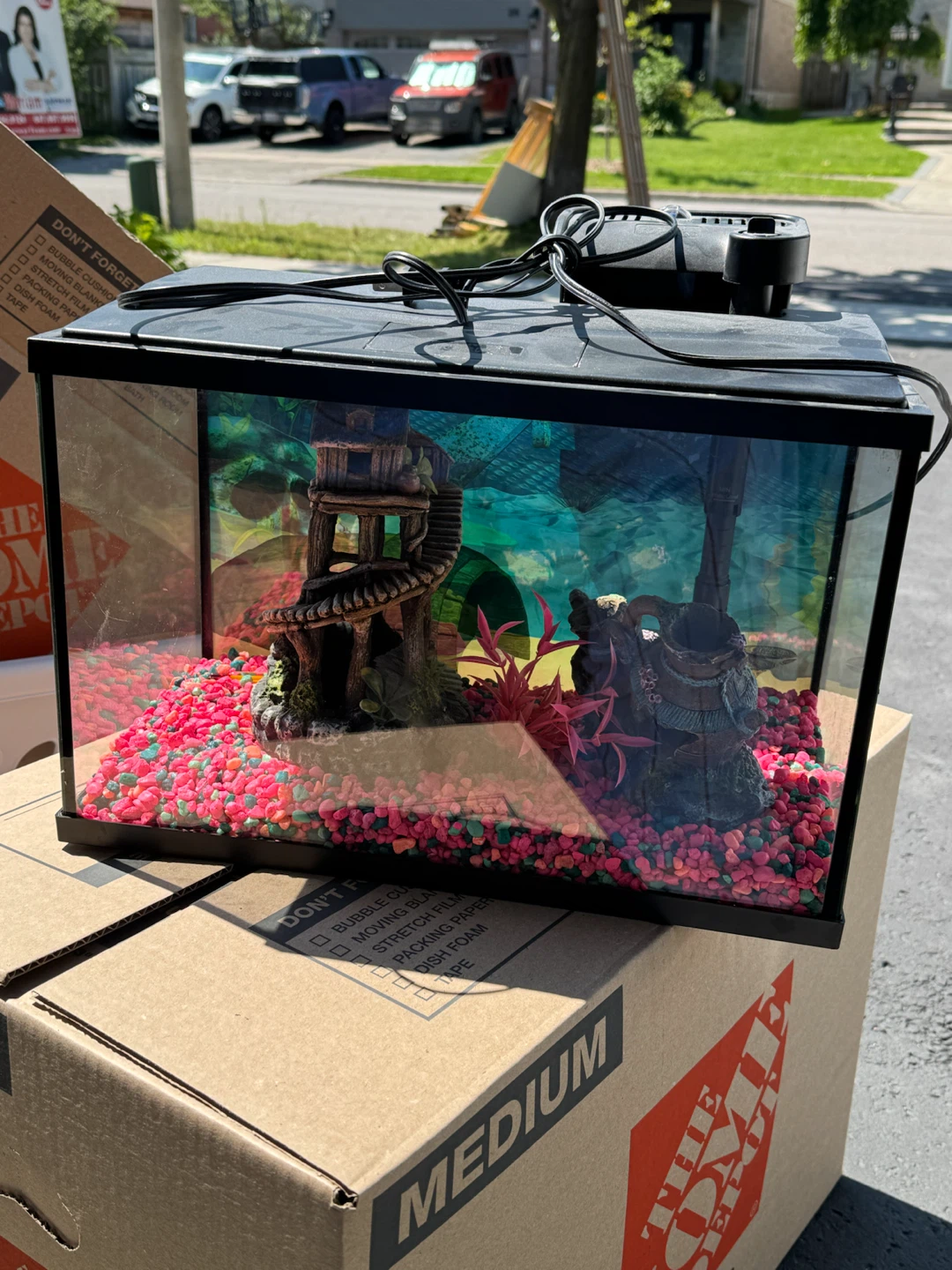Small Fish Tank with Filter and Decorations - photo 2