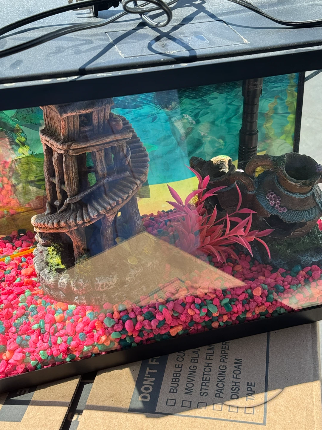 Small Fish Tank with Filter and Decorations - photo 3