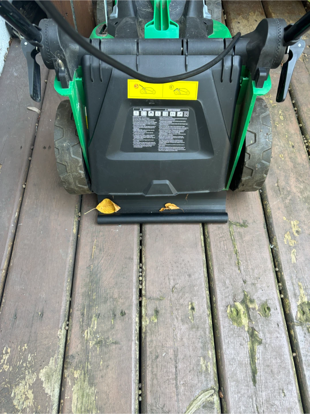 Greenworks Electric Lawn Mower