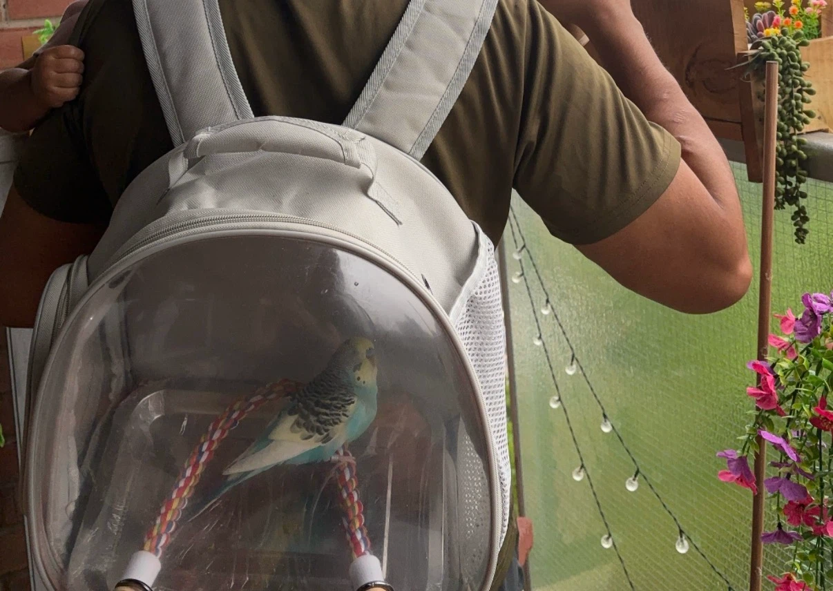 Clear Bird Carrier Backpack with Perch
