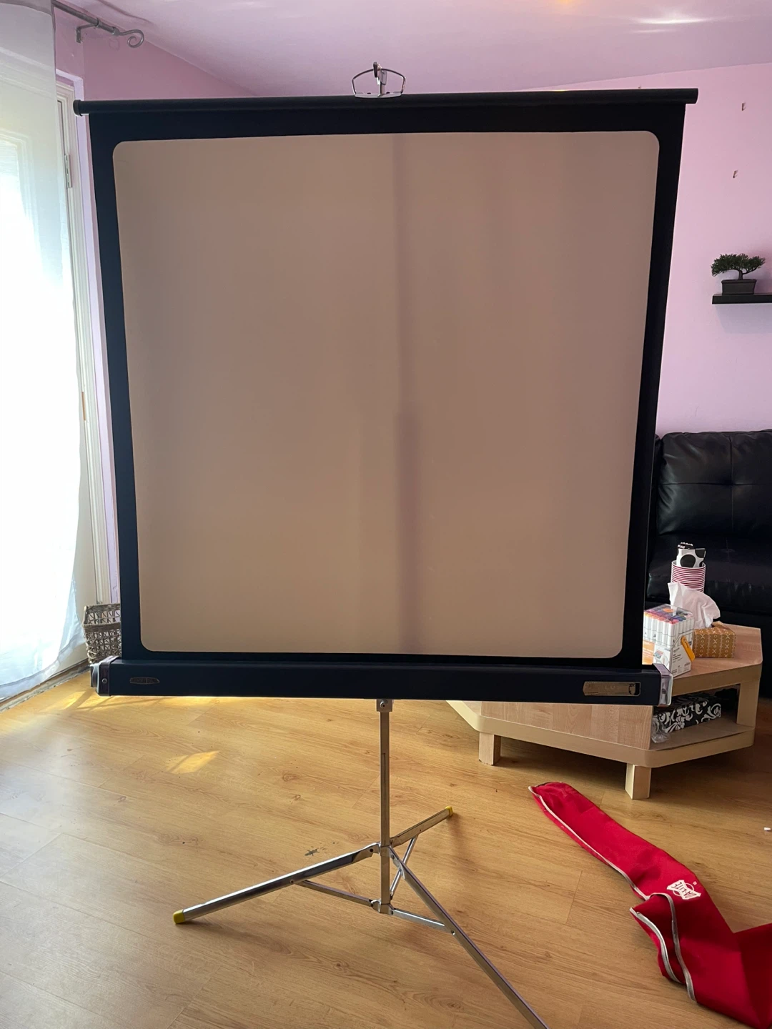 Protector Screen With Stand