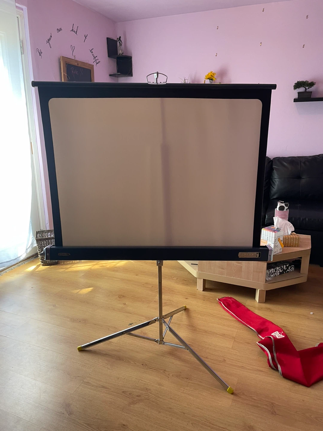 Protector Screen With Stand - photo 2