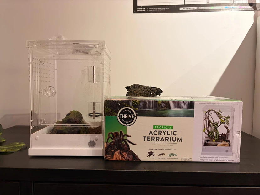 Acrylic Terrarium with supplies
