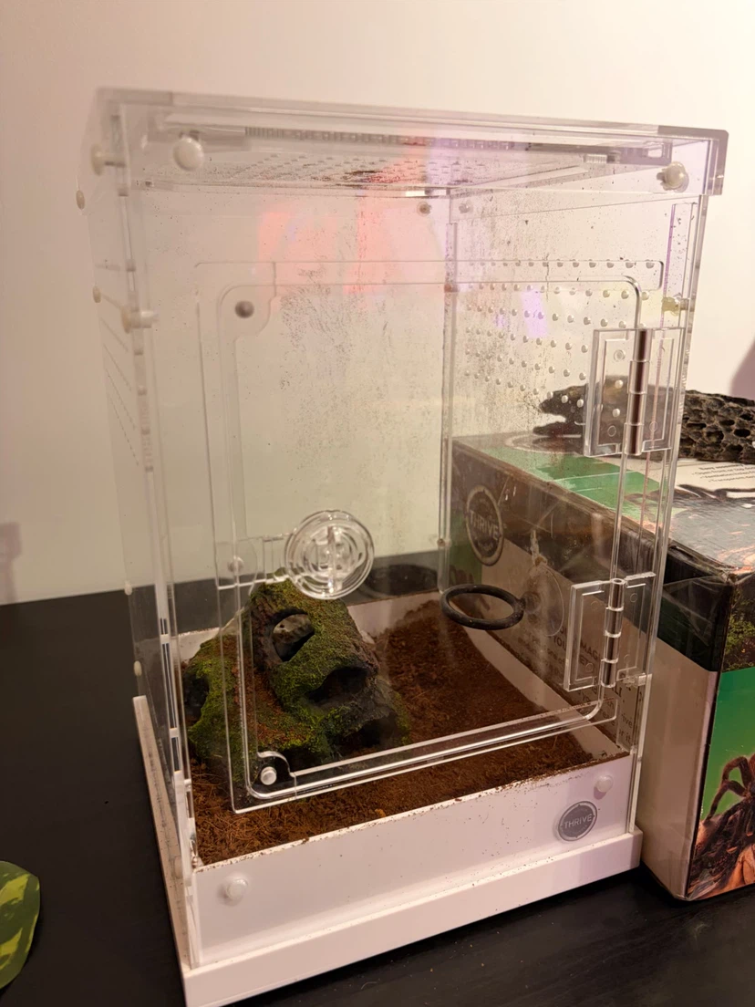 Acrylic Terrarium with supplies - photo 2