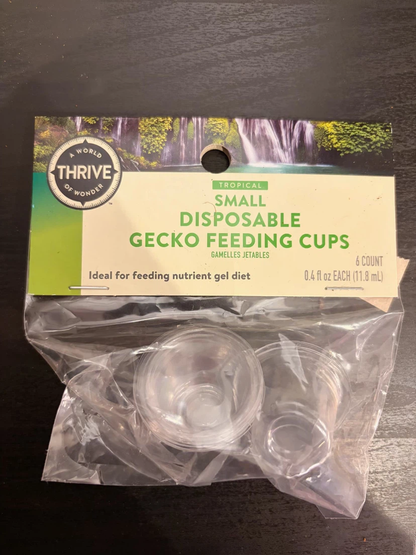 Acrylic Terrarium with supplies - photo 4